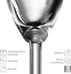 Leonardo Daily Champagneglas - 180 Ml - 6 Stuks -Merkloos Winkel 1144x1200 3