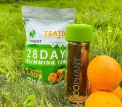 Ecophant Tea-To-Go Bottle - Dubbelwandige Theebeker – Drinkfles Voor Losse Thee – Met RVS Infuser – Inclusief Thee Zeef – Glas - 330 Ml -Merkloos Winkel 1200x1051 2