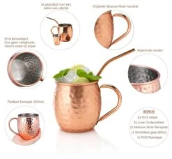Luxe Moscow Mule Beker Set – Cocktail Set - Inclusief 2 Heerlijke Mule Recepten - Luxe Cadeau Man Vrouw - 500ml – Qwality -Merkloos Winkel 1200x1106 1