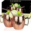 Sybra Moscow Mule Bekers - Cocktail Glazen - Set Van 2 Met RVS Rietjes
