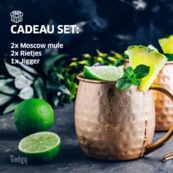 Gadgy Moscow Mule Bekers Set - 100% Koper - Cocktailset : 2 Cocktailglazen, 2 Rietjes & 1 Barmaatje -Merkloos Winkel 1200x1200 1252