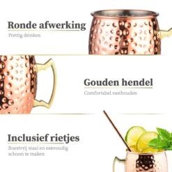 Sybra Moscow Mule Bekers - Cocktail Glazen - Set Van 2 Met RVS Rietjes -Merkloos Winkel 1200x1200 1273