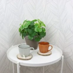 OTIX Koffiekopjes - Met Oor - Set Van 4 - Verschillende Kleuren - Aardewerk - 250 Ml -Merkloos Winkel 1200x1200 1783