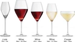 Libbey Champagneglas Iduna – 200 Ml / 20 Cl - Set Van 6 - Elegant Design - Hoge Kwaliteit - Vaatwasserbestendig -Merkloos Winkel 1200x671