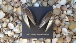 Het Zeeuws Mosselbestek -Merkloos Winkel 1200x675 4