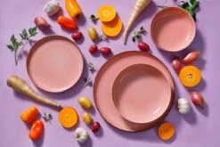 Palmer Serviesset Antigo Porselein 6-persoons 24-delig Roze -Merkloos Winkel 1200x800 246