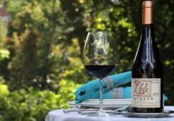 Schott Zwiesel Diva Bourgogne Wijnglas - 0,46 L - 6 Stuks 13 Schott Zwiesel Diva Bourgogne Wijnglas - 0,46 L - 6 Stuks -Merkloos Winkel 1200x837 2