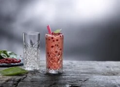 Pasabahce Timeless Longdrink - 45 Cl - 6 Stuks - Transparant -Merkloos Winkel 1200x871 1