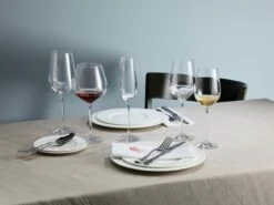 Schott Zwiesel Fortissimo Water / Rode Wijnglas - 0.51 Ltr - 6 Stuks -Merkloos Winkel 1200x899 13