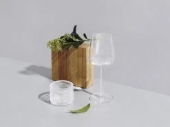 Iittala Essence - Wijnglazen Witte Wijn – Vaatwasserbestendig - Transparant - 33 Cl – Set Van 2 Glazen -Merkloos Winkel 1200x899 18