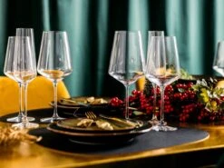 Leonardo Wijnglazenset (Rode Wijnglazen + Witte Wijnglazen) Puccini 12-Delig -Merkloos Winkel 1200x900 37