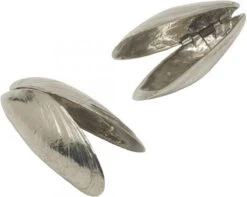 Het Zeeuws Mosselbestek -Merkloos Winkel 1200x958 7