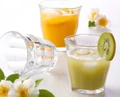 Duralex Picardie Waterglas 310 Ml - Gehard Glas - 6 Stuks -Merkloos Winkel 1200x978 2