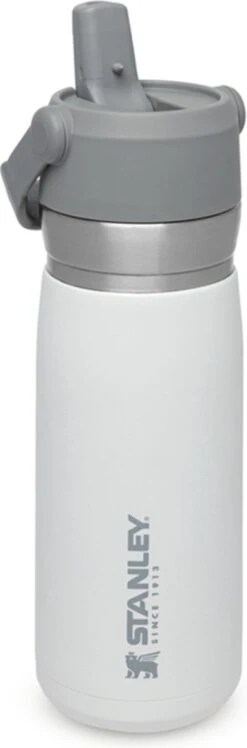 Stanley The IceFlow™ Flip Straw Water Bottle 0,65L - Thermosfles - Lagoon -Merkloos Winkel 396x1200 2