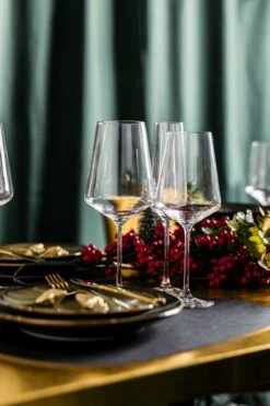 Leonardo Wijnglazenset (Rode Wijnglazen + Witte Wijnglazen) Puccini 12-Delig -Merkloos Winkel 800x1200 45