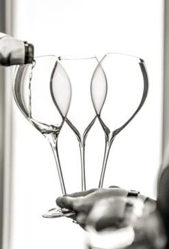 Lehmann Jamesse Champagneglazen 41cl -Merkloos Winkel 816x1200 1