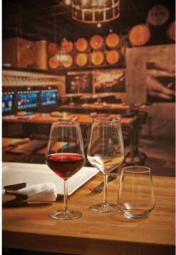 Pasabahce Allegra 49 Cl Wijnglas Doos 6 Stuks -Merkloos Winkel 830x1200