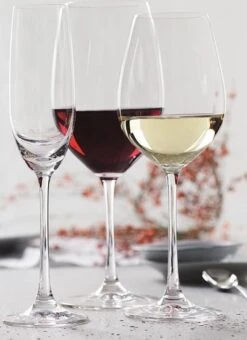 Spiegelau Salute Rode Wijnglas Set/4 -Merkloos Winkel 871x1200 1