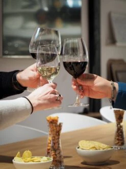 Schott Zwiesel Ivento 18-delige Set Bodini -Merkloos Winkel 899x1200 14