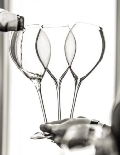 Lehmann Jamesse Champagneglazen 28.5cl -Merkloos Winkel 925x1200 1